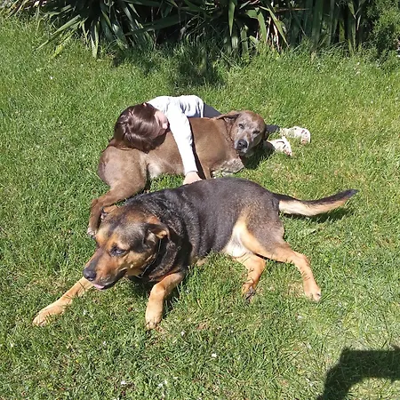 Au Garrine 3* Puybrun