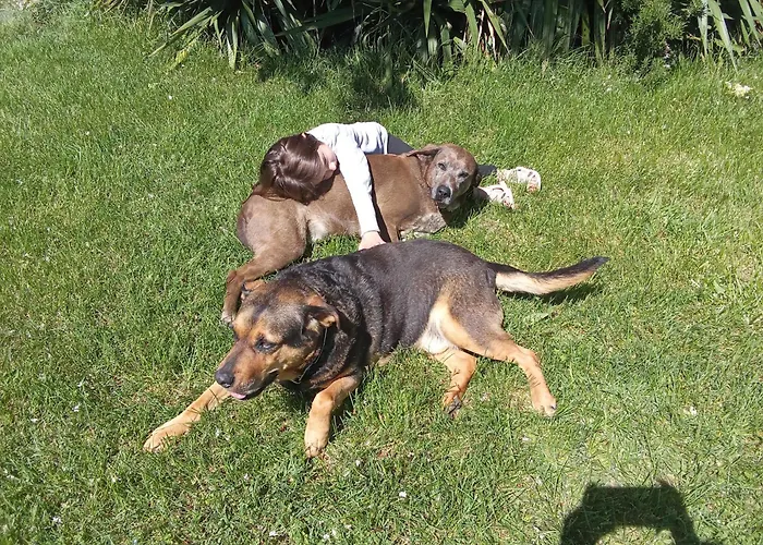 Au Garrine 3* Puybrun